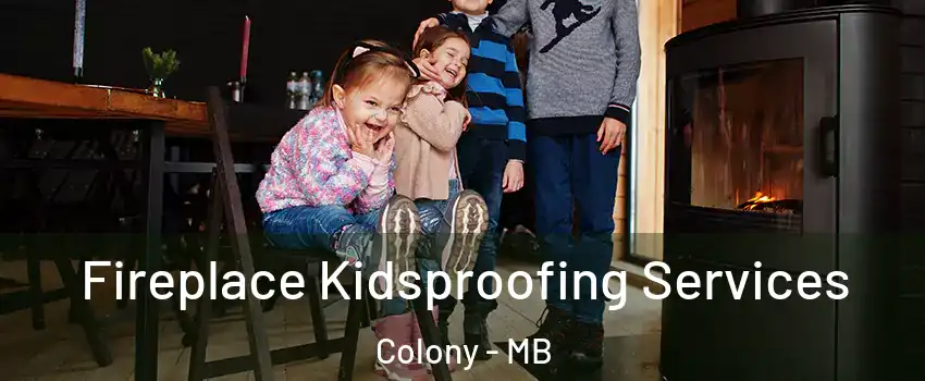  Fireplace Kidsproofing Services Colony - MB
