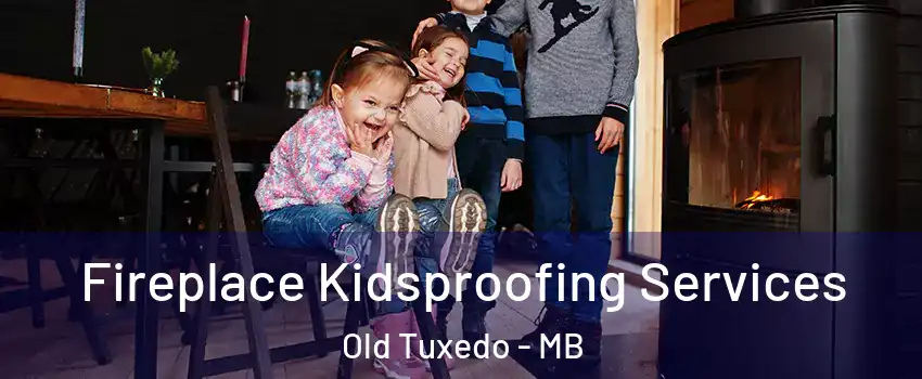  Fireplace Kidsproofing Services Old Tuxedo - MB