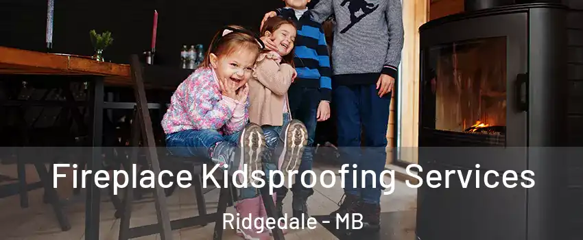  Fireplace Kidsproofing Services Ridgedale - MB