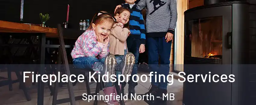 Fireplace Kidsproofing Services Springfield North - MB