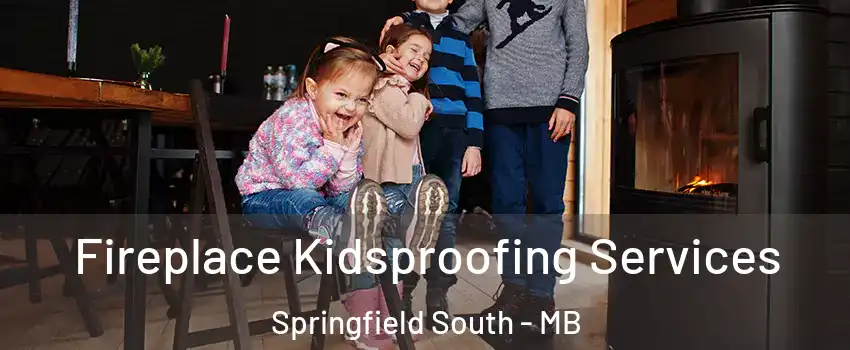  Fireplace Kidsproofing Services Springfield South - MB