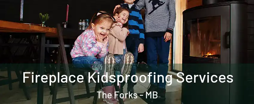  Fireplace Kidsproofing Services The Forks - MB