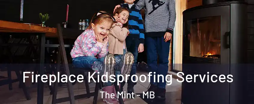  Fireplace Kidsproofing Services The Mint - MB