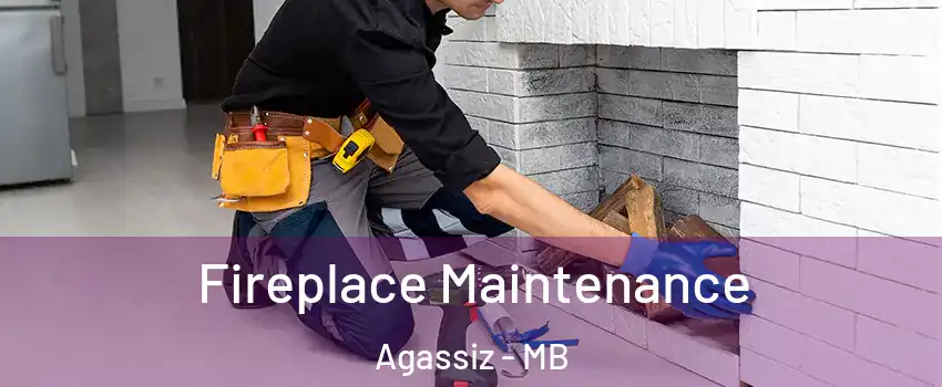  Fireplace Maintenance Agassiz - MB