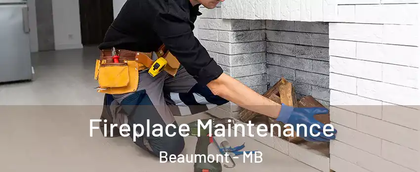  Fireplace Maintenance Beaumont - MB