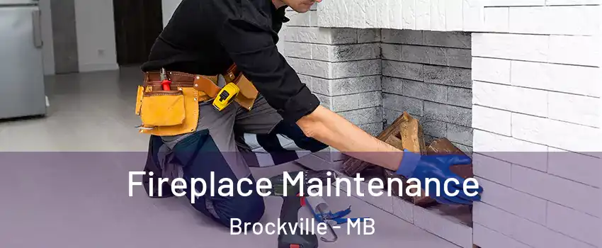  Fireplace Maintenance Brockville - MB