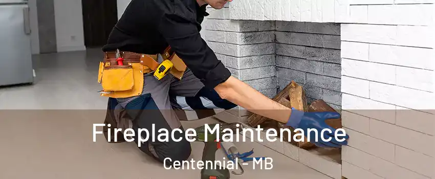  Fireplace Maintenance Centennial - MB