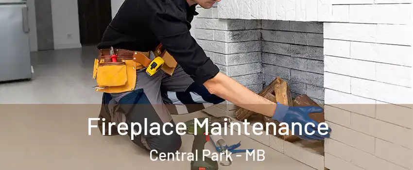  Fireplace Maintenance Central Park - MB