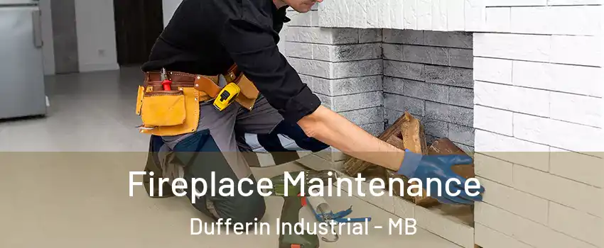  Fireplace Maintenance Dufferin Industrial - MB