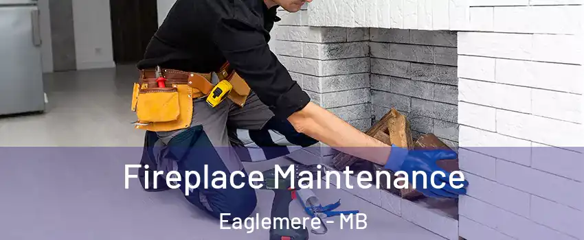  Fireplace Maintenance Eaglemere - MB