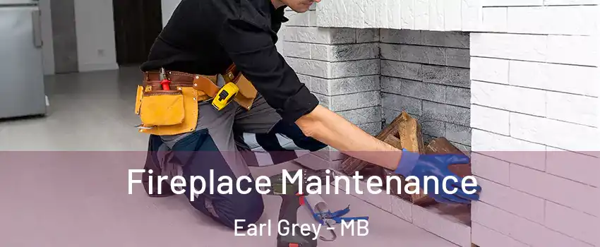  Fireplace Maintenance Earl Grey - MB