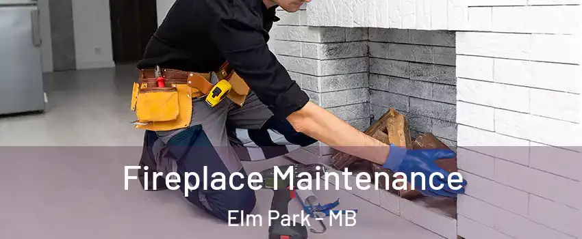  Fireplace Maintenance Elm Park - MB