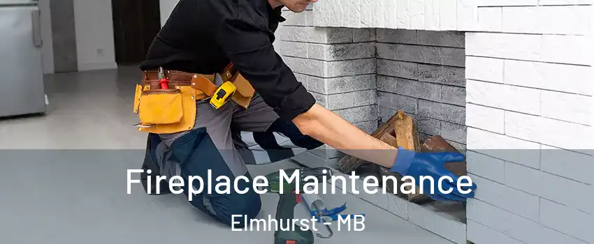  Fireplace Maintenance Elmhurst - MB