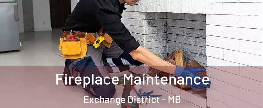  Fireplace Maintenance Exchange District - MB