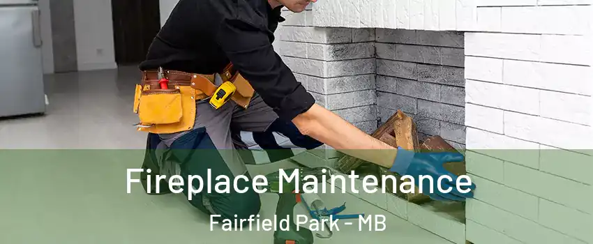  Fireplace Maintenance Fairfield Park - MB