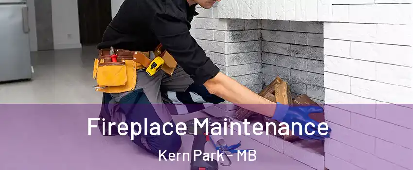  Fireplace Maintenance Kern Park - MB