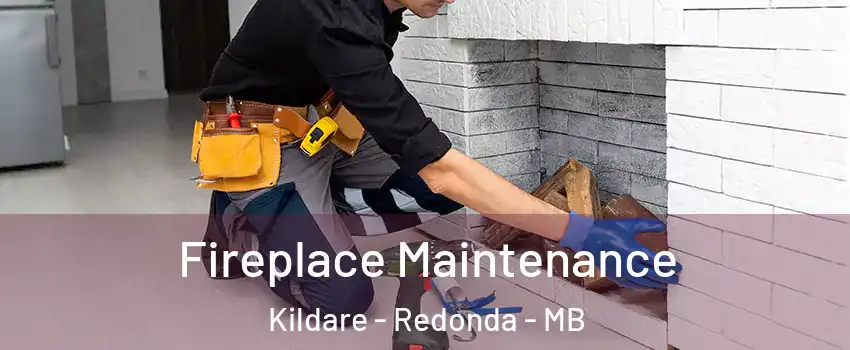  Fireplace Maintenance Kildare - Redonda - MB