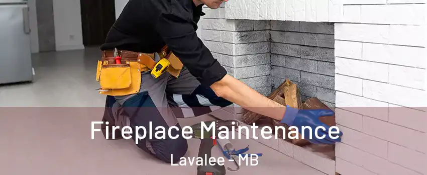  Fireplace Maintenance Lavalee - MB