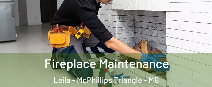  Fireplace Maintenance Leila - McPhillips Triangle - MB