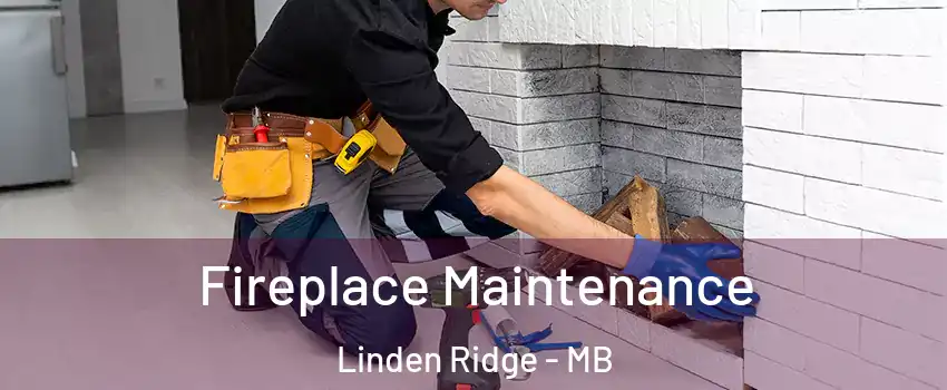  Fireplace Maintenance Linden Ridge - MB