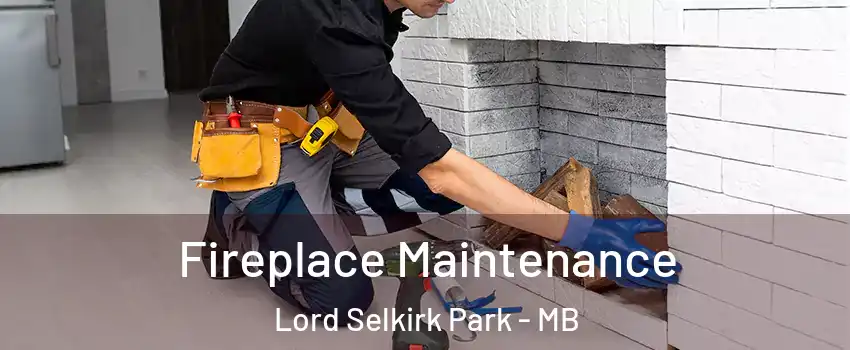  Fireplace Maintenance Lord Selkirk Park - MB