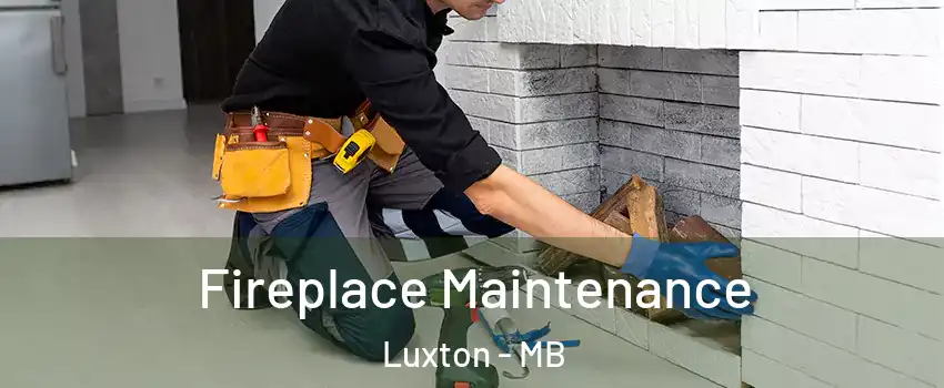  Fireplace Maintenance Luxton - MB
