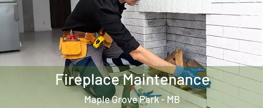  Fireplace Maintenance Maple Grove Park - MB