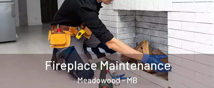  Fireplace Maintenance Meadowood - MB