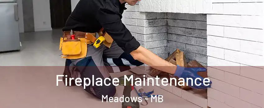  Fireplace Maintenance Meadows - MB