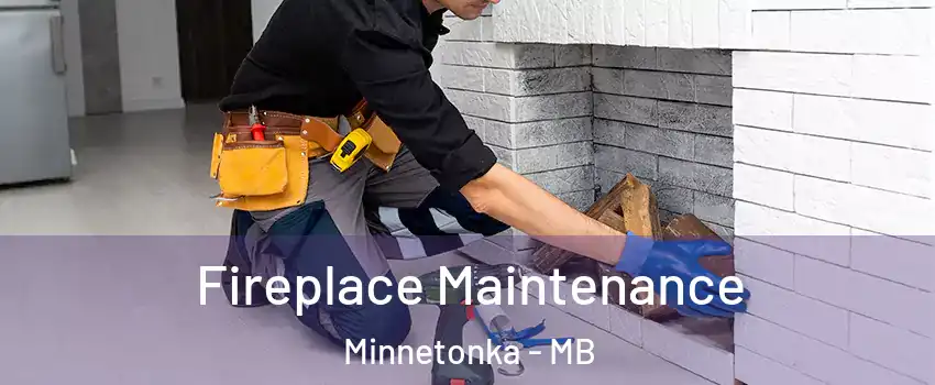  Fireplace Maintenance Minnetonka - MB