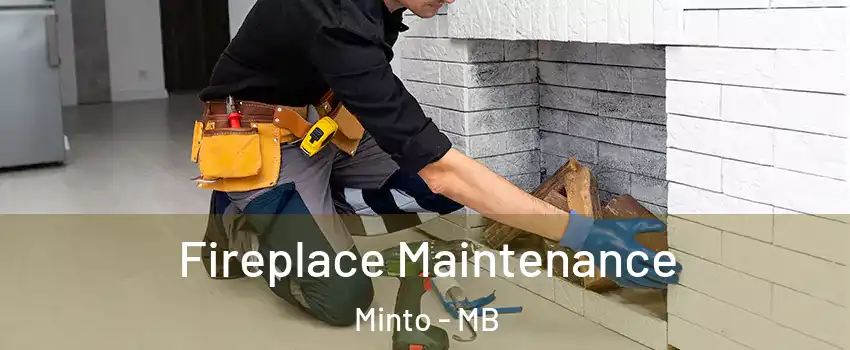  Fireplace Maintenance Minto - MB