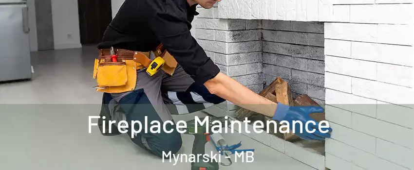  Fireplace Maintenance Mynarski - MB