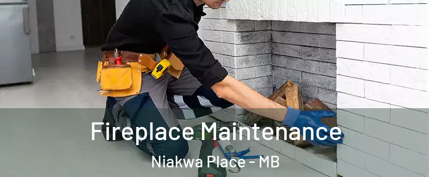  Fireplace Maintenance Niakwa Place - MB