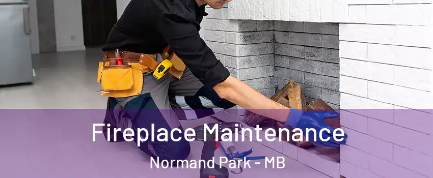  Fireplace Maintenance Normand Park - MB