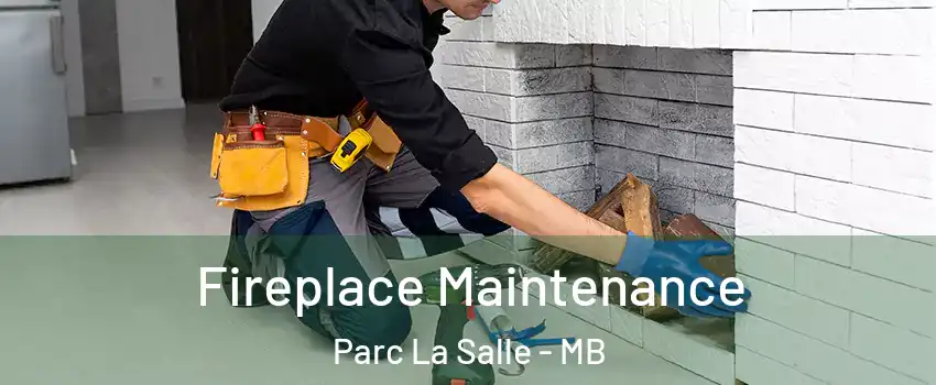  Fireplace Maintenance Parc La Salle - MB