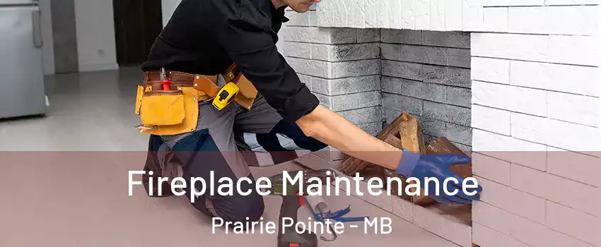  Fireplace Maintenance Prairie Pointe - MB