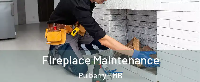  Fireplace Maintenance Pulberry - MB