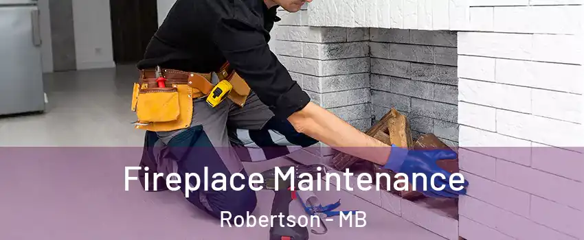  Fireplace Maintenance Robertson - MB