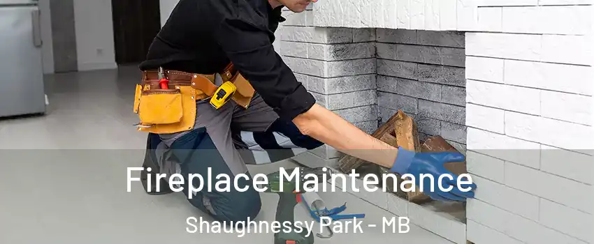  Fireplace Maintenance Shaughnessy Park - MB