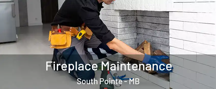  Fireplace Maintenance South Pointe - MB