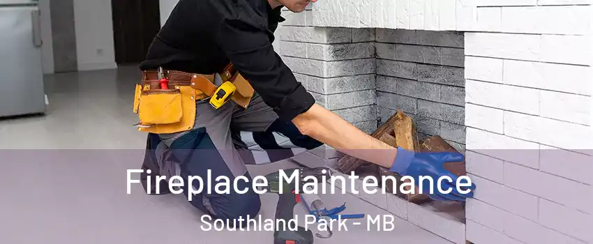  Fireplace Maintenance Southland Park - MB