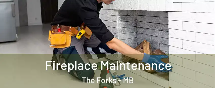  Fireplace Maintenance The Forks - MB