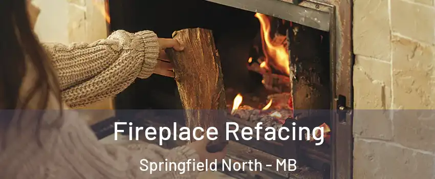 Fireplace Refacing Springfield North - MB