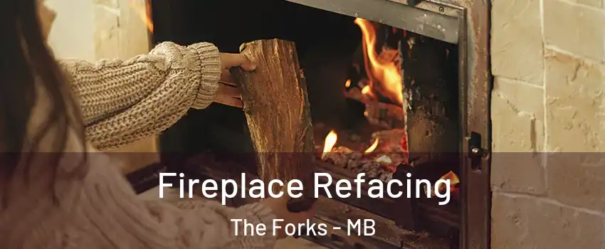  Fireplace Refacing The Forks - MB
