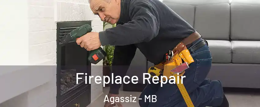  Fireplace Repair Agassiz - MB