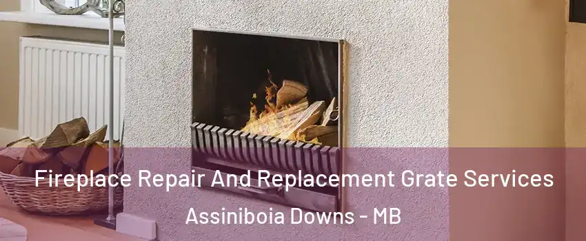  Fireplace Repair And Replacement Grate Services Assiniboia Downs - MB