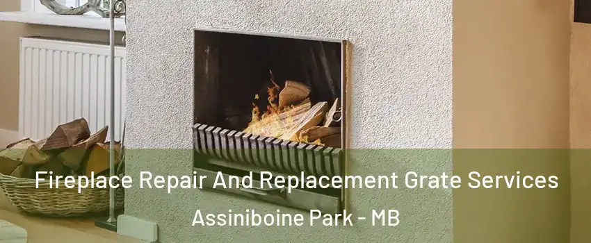  Fireplace Repair And Replacement Grate Services Assiniboine Park - MB