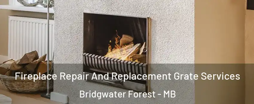  Fireplace Repair And Replacement Grate Services Bridgwater Forest - MB