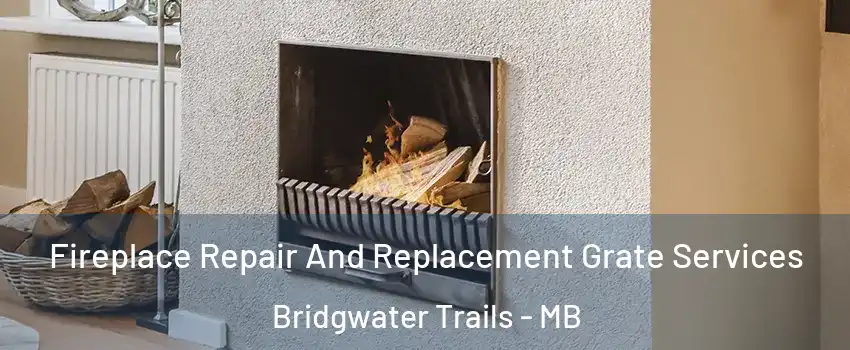  Fireplace Repair And Replacement Grate Services Bridgwater Trails - MB