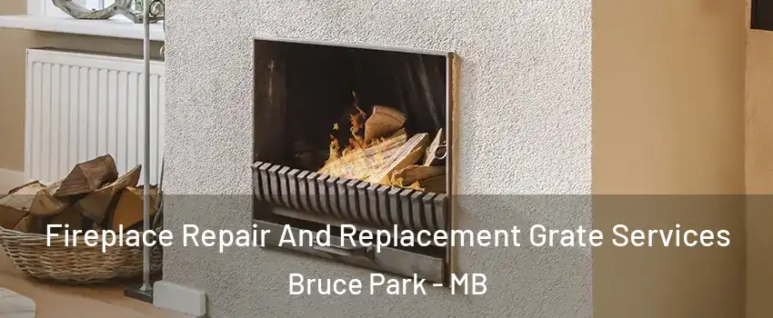  Fireplace Repair And Replacement Grate Services Bruce Park - MB